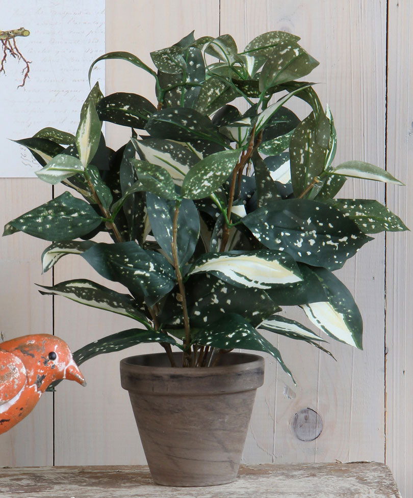 Artificial Cordyline