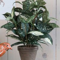 Artificial Cordyline