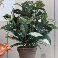 Artificial Cordyline