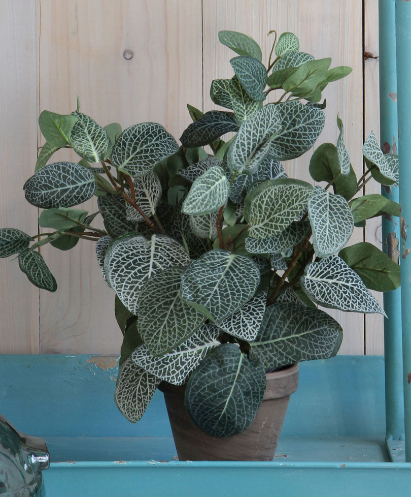 Artificial Pilea