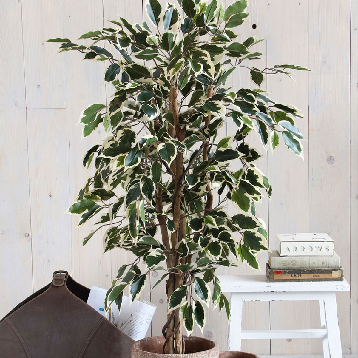 Mica Artificial Ficus Benjamina 'Hawaii'