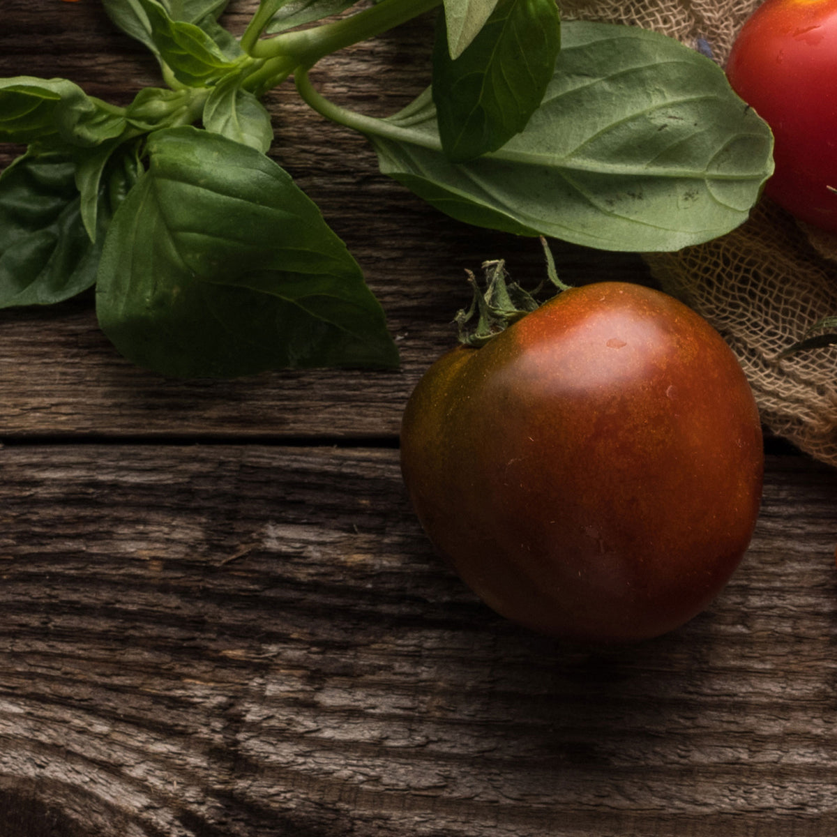Tomato