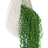 Pea plant + lipstick plant with 2x sea grass hanging pots  - Hanging plant