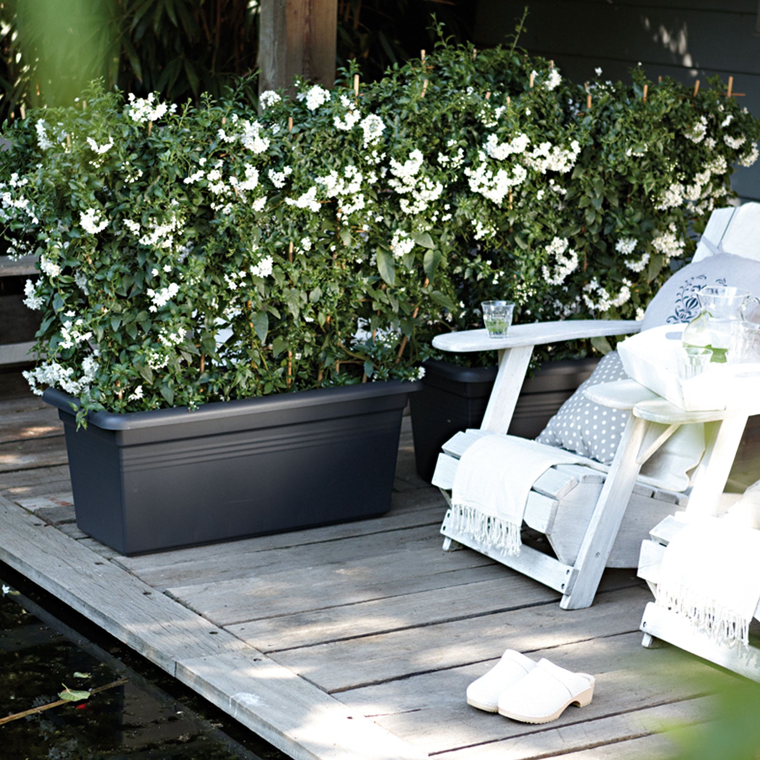 Planters and flower boxes