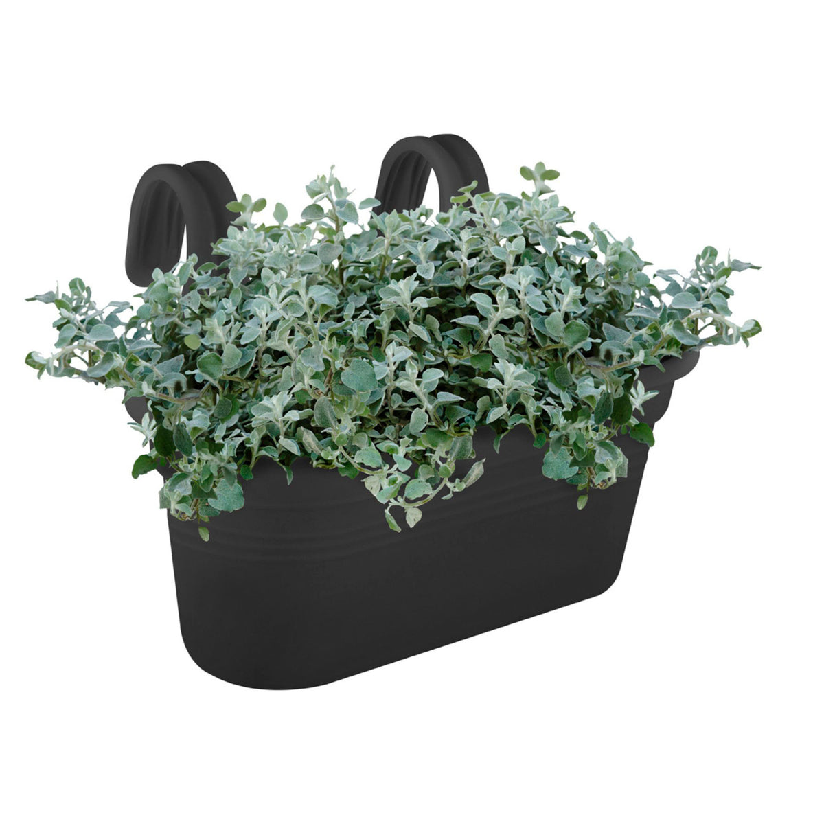 Elho balcony planter Green basics easy hanger large oval black - Outdoor pot