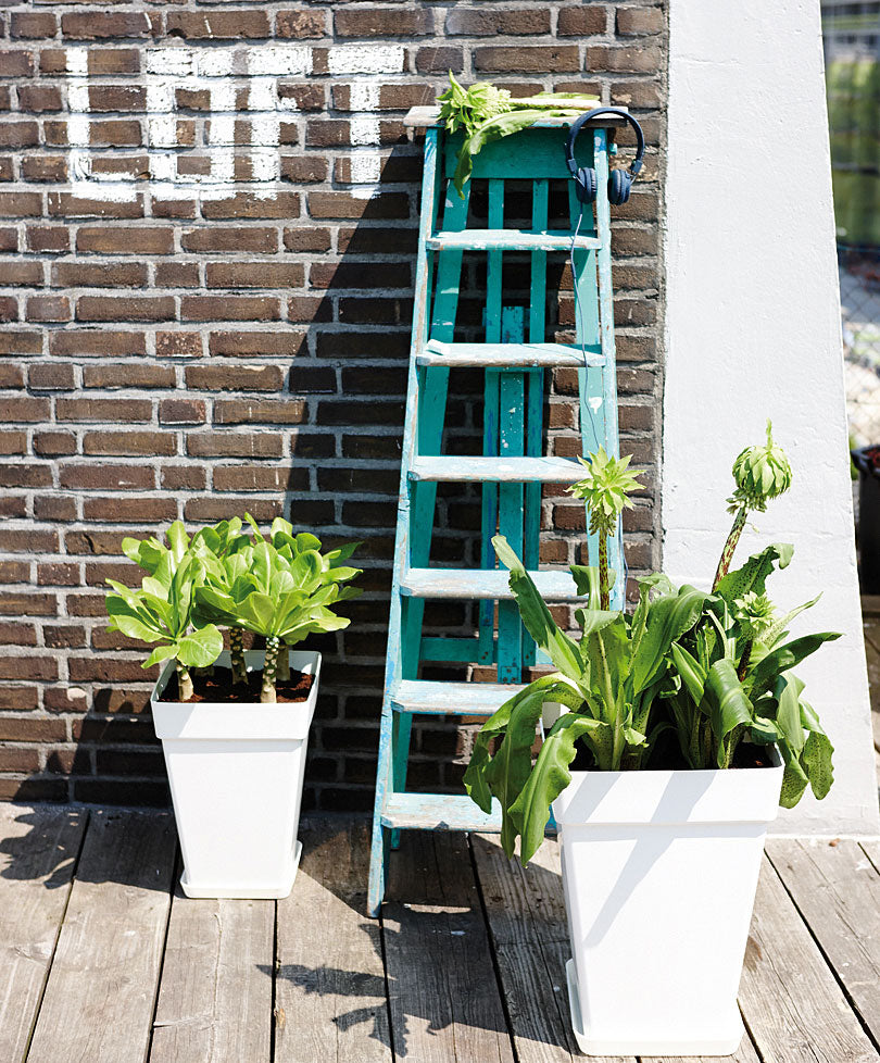 Elho tall flower pot Loft urban square white - Outdoor pot