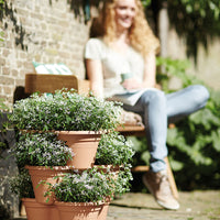 Elho flower pot Green basics vertical gardening brown - Outdoor pot