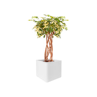 Elho flower pot Pure soft brick square white including wheels - Indoor and outdoor pot