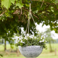 TS hanging pot Nova round grey - Indoor and outdoor pot