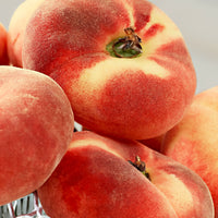 Wild peach tree ‘Donut‘ - Hardy plant