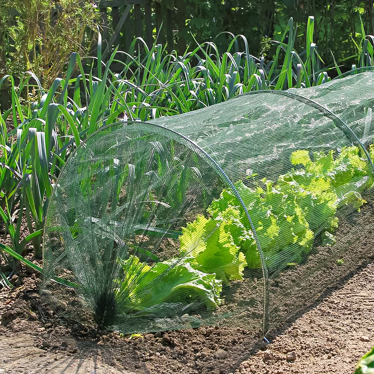Nature Garden Tunnel Set