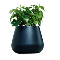 Elho flower pot Pure cone round black - Indoor and outdoor pot