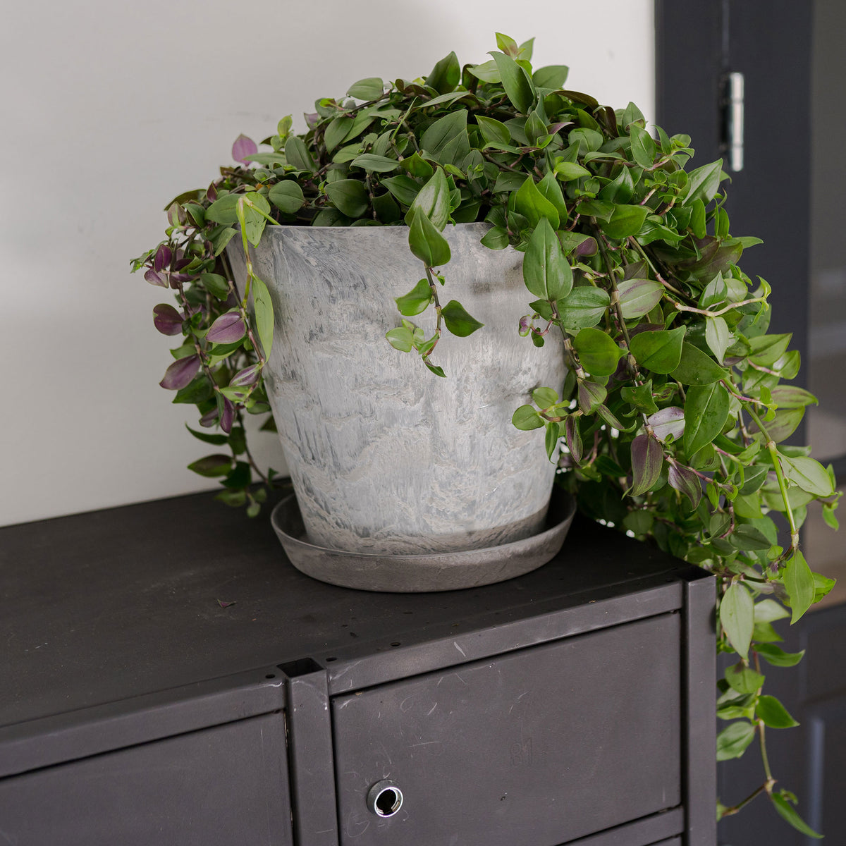 Artstone Flower pot Claire round grey - Indoor and outdoor pot