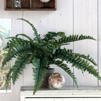 Artificial fern Green