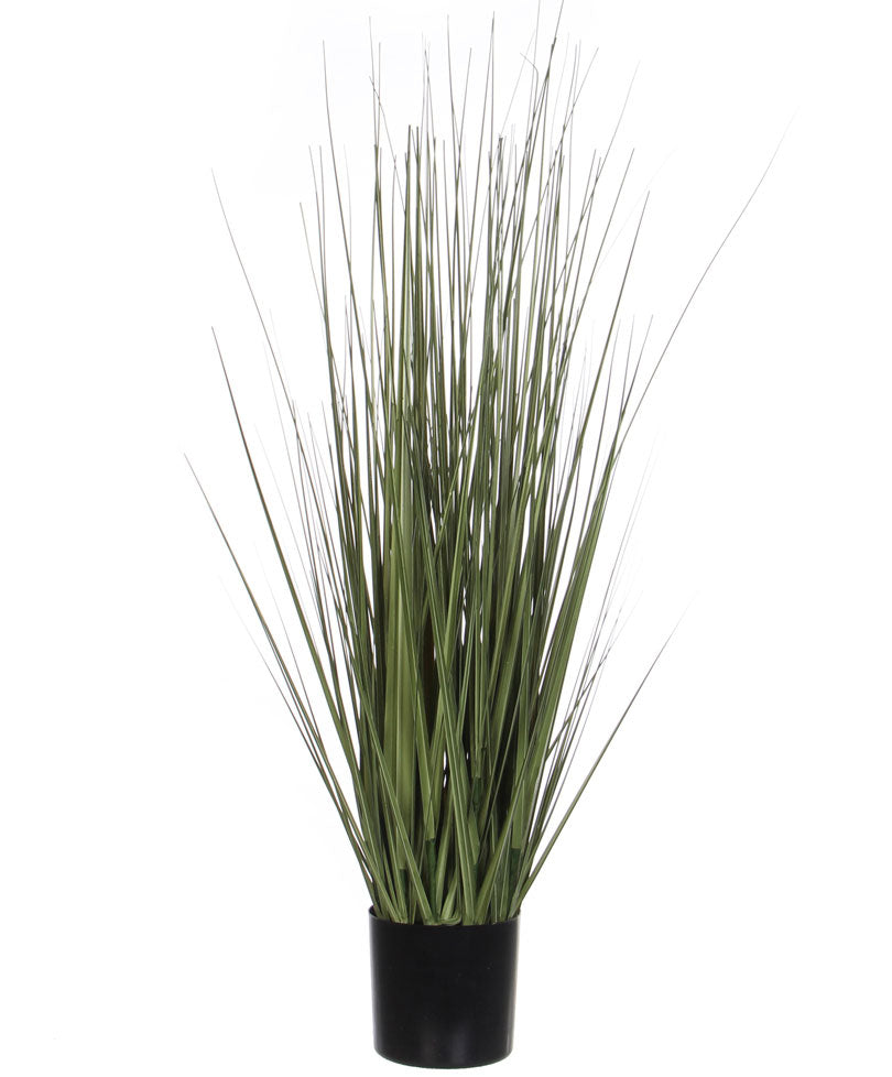 Mica Art. Ornamental Grass