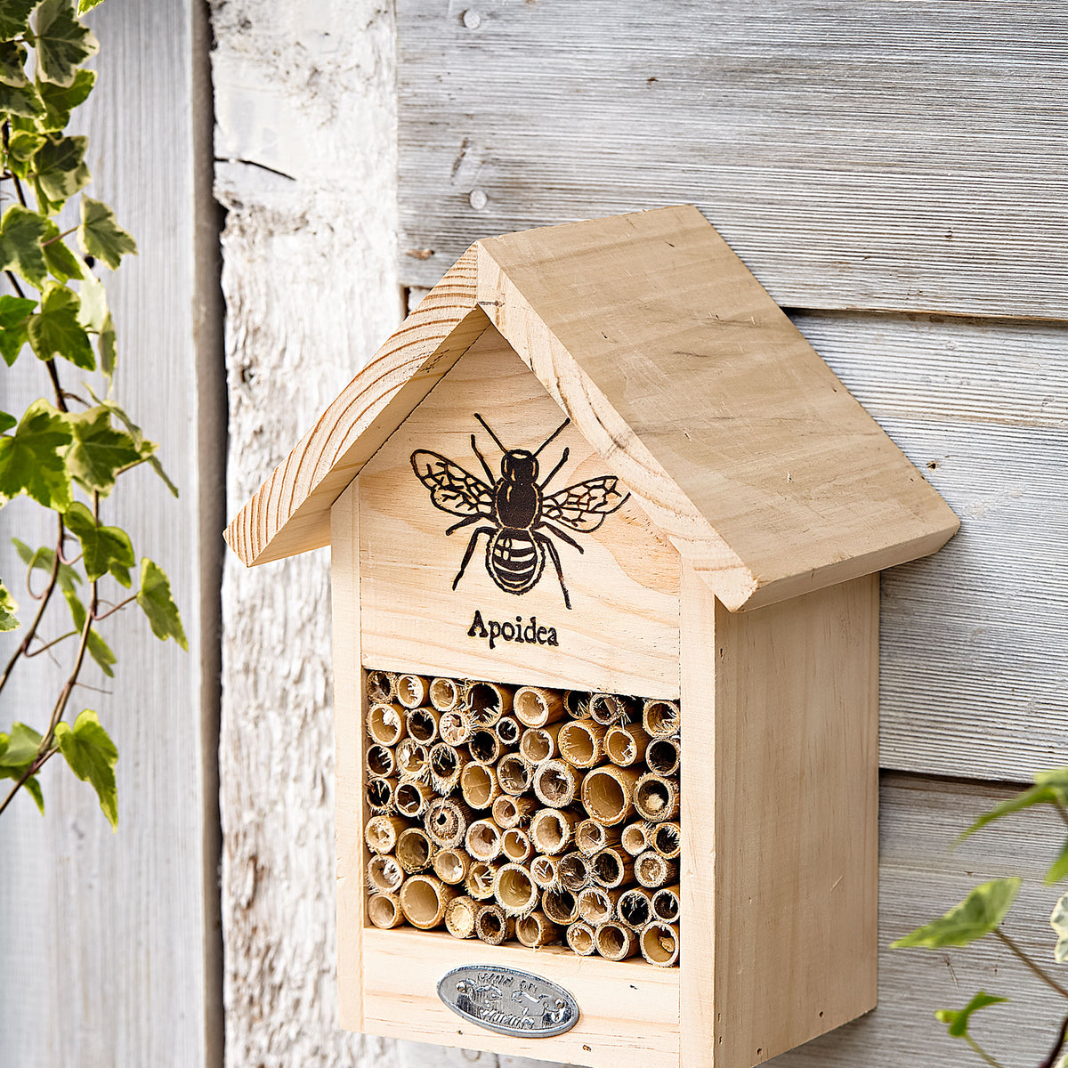 Bee House Brown