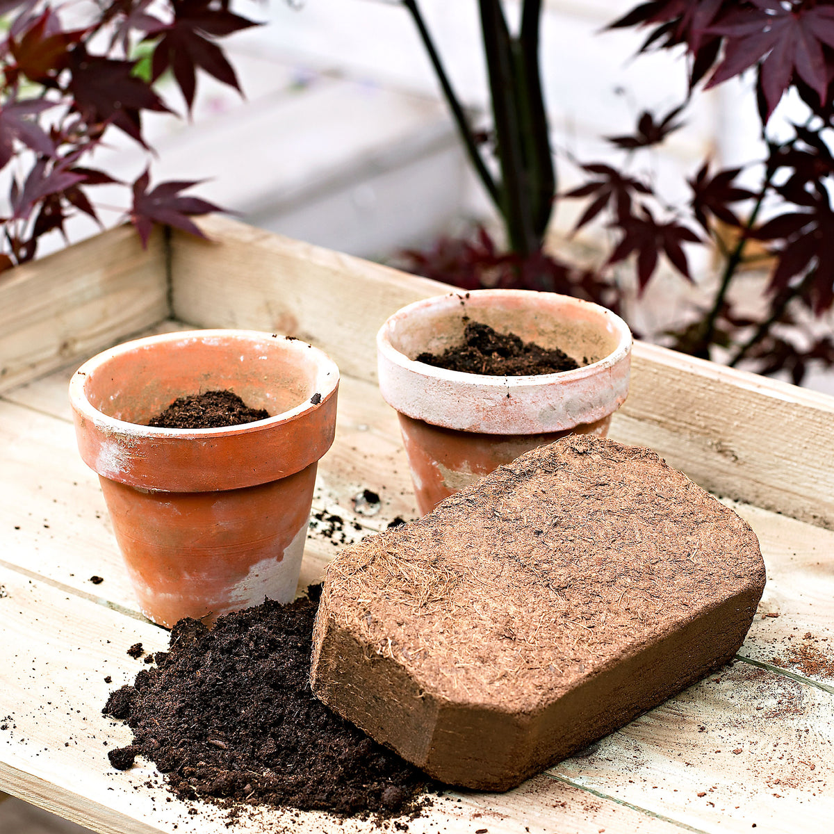 10 litres of instant potting soil