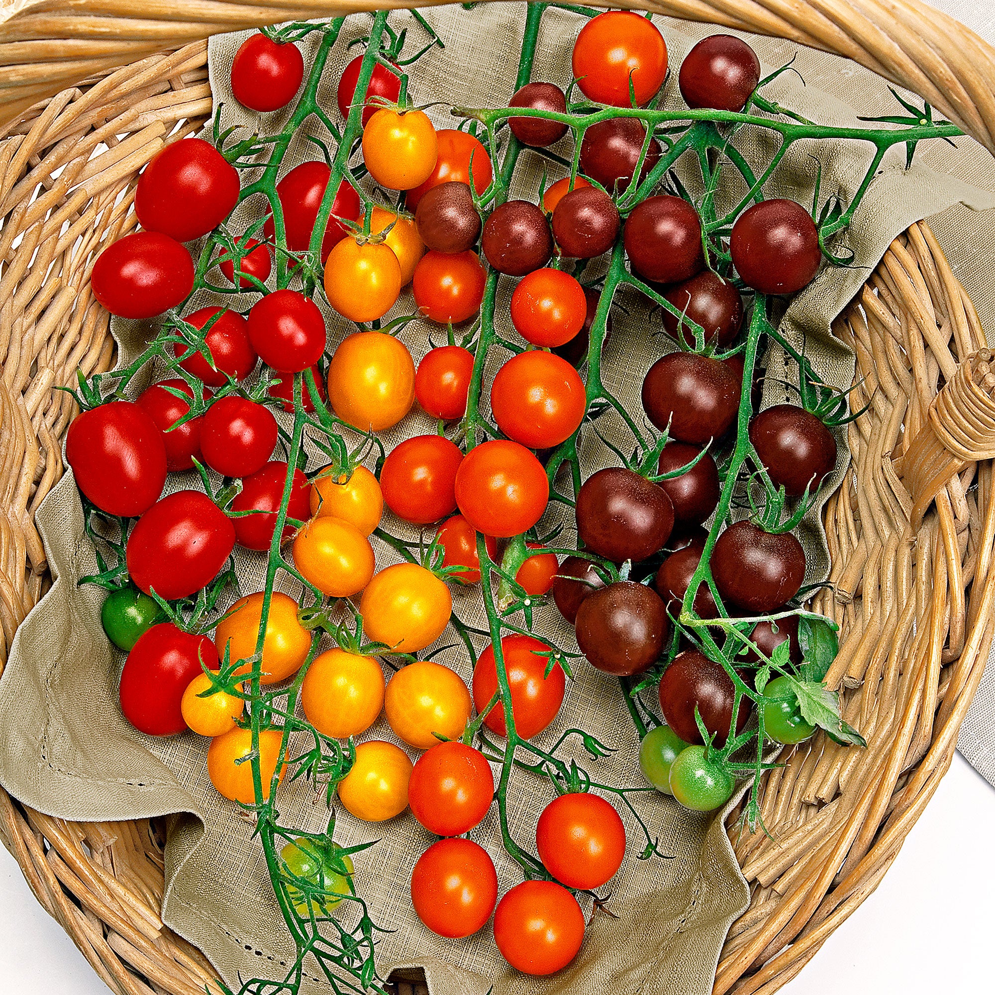 Buy vegetable seed now Cherry Tomatoes 'Cherry' Mix | Bakker.com